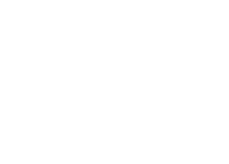VIPs Entertainment, LLC